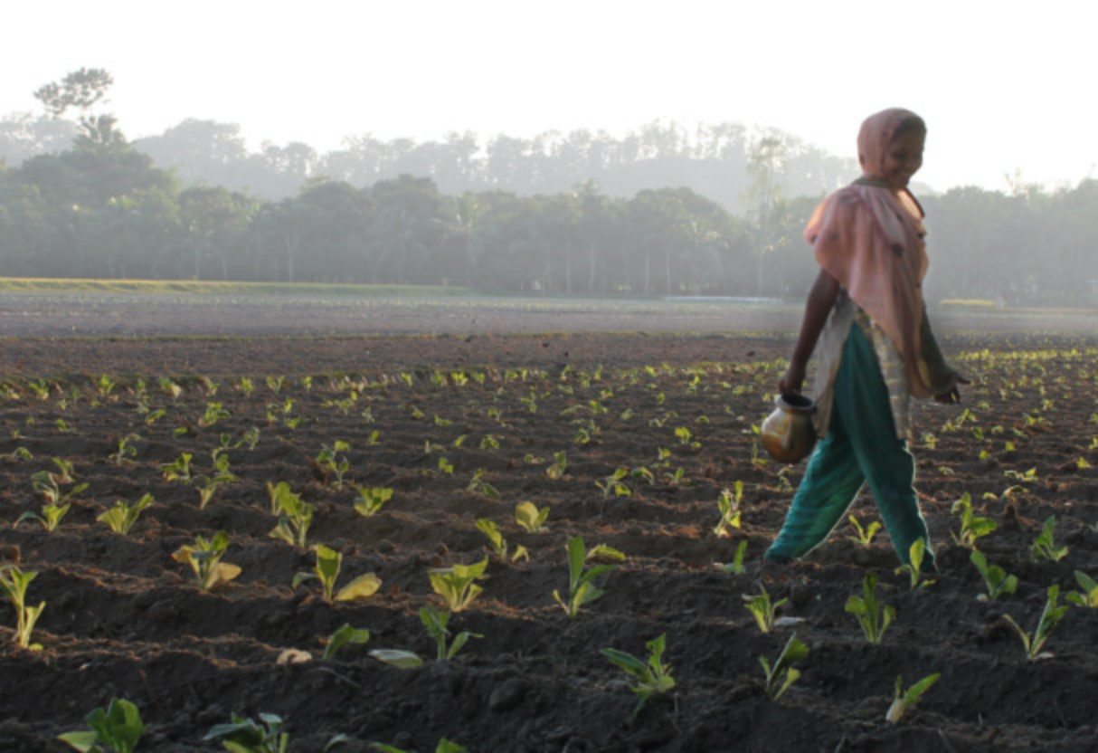 Swedwatch - webbplats